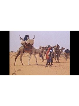 LA FILLE DE MEDERDRA