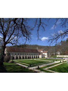 LES ABBAYES CISTERCIENNES