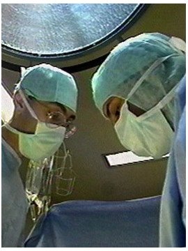 INTRODUCTION A LA XENOGREFFE