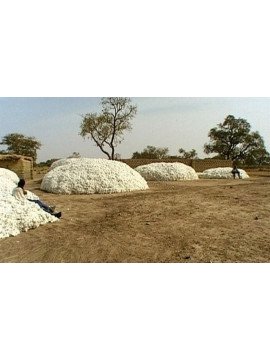 DJOUROU, UNE CORDE A TON COU