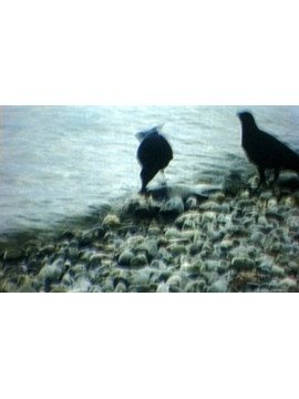 DJOUROU, UNE CORDE A TON COU