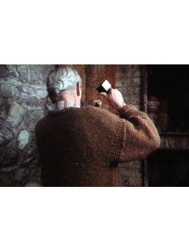 LA DEUXIEME VIE DES ARBRES