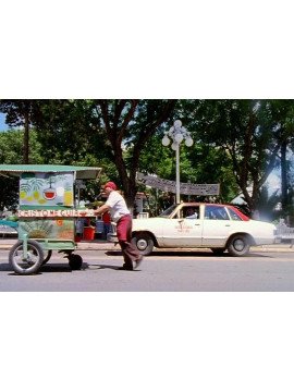 LES BARRIERES DE LA SOLITUDE