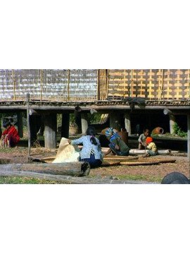 L'EXOTIQUE EST QUOTIDIEN