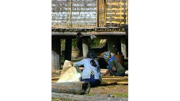 L'EXOTIQUE EST QUOTIDIEN