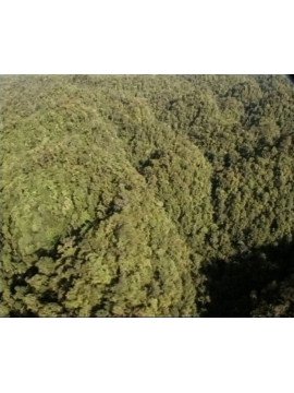 LE GOUFFRE PERDU DE PAPOUASIE