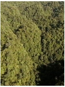 LE GOUFFRE PERDU DE PAPOUASIE