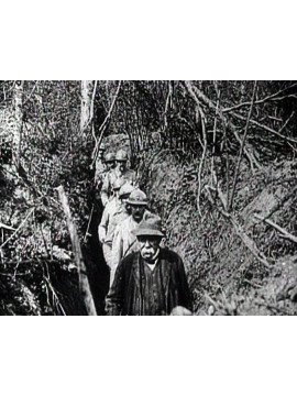 LES IMAGES D'ARCHIVES