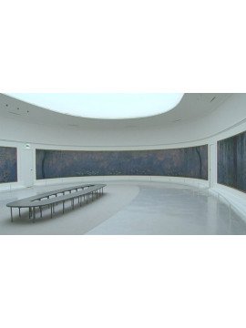 LE DESSEIN  DES NYMPHEAS