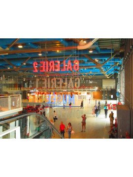 LE CENTRE GEORGES POMPIDOU (Cathedrals of Culture)