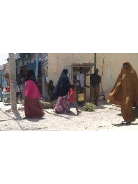 LES PIRATES DE SOMALIE