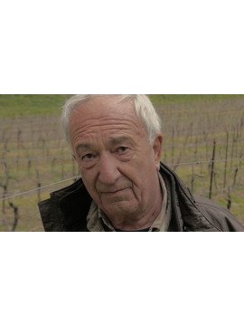 WINE’S WAR