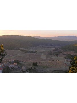 LA GUERRE DU VIN