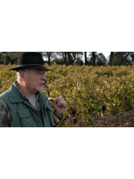 LA GUERRE DU VIN