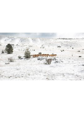 VIVANTS PARMI LES VIVANTS