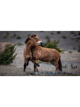 VIVANTS PARMI LES VIVANTS