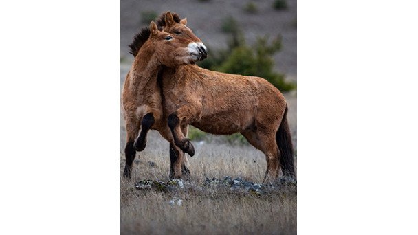 VIVANTS PARMI LES VIVANTS