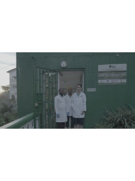 GABON : LES SAVANTS ET LES ELEPHANTS