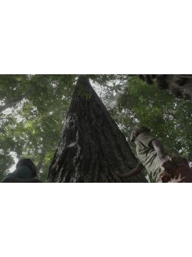 GABON : LES SAVANTS ET LES ELEPHANTS