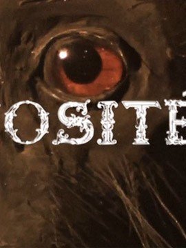 CABINET DE CURIOSITE