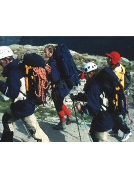 LE SYSTEME ZSYGMONDY