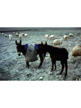 AN ANATOLIAN VILLAGE