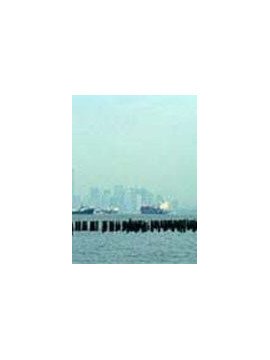 LE PORT DE NEW-YORK