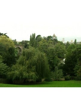 LE JARDIN DANS LA VILLE