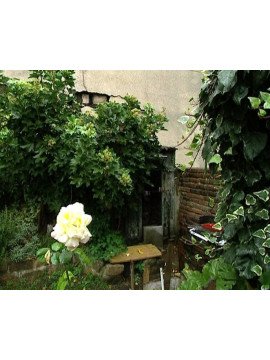 LE JARDIN DANS LA VILLE