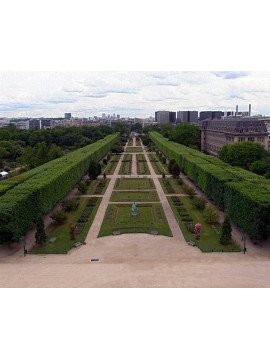 LE JARDIN DES PLANTES