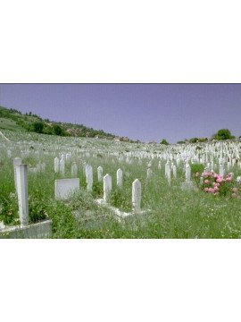 AU NOM DE L'HUMANITE