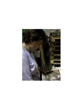 FESTIVAL D' EDIMBOURG